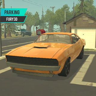Parking Fury